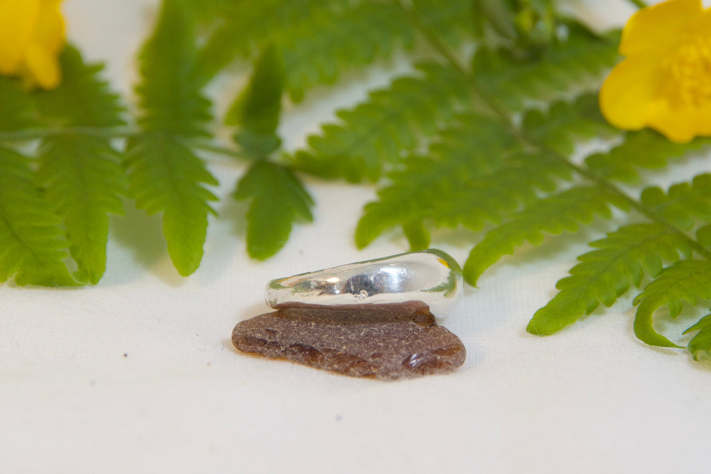 Silver ring on a white surface with green fern leaves and yellow flowers.