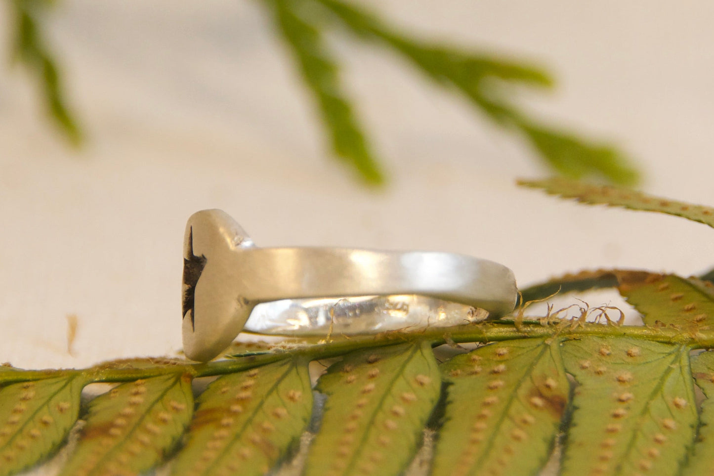 Silver ring on a green leaf with a blurred green branch in the background