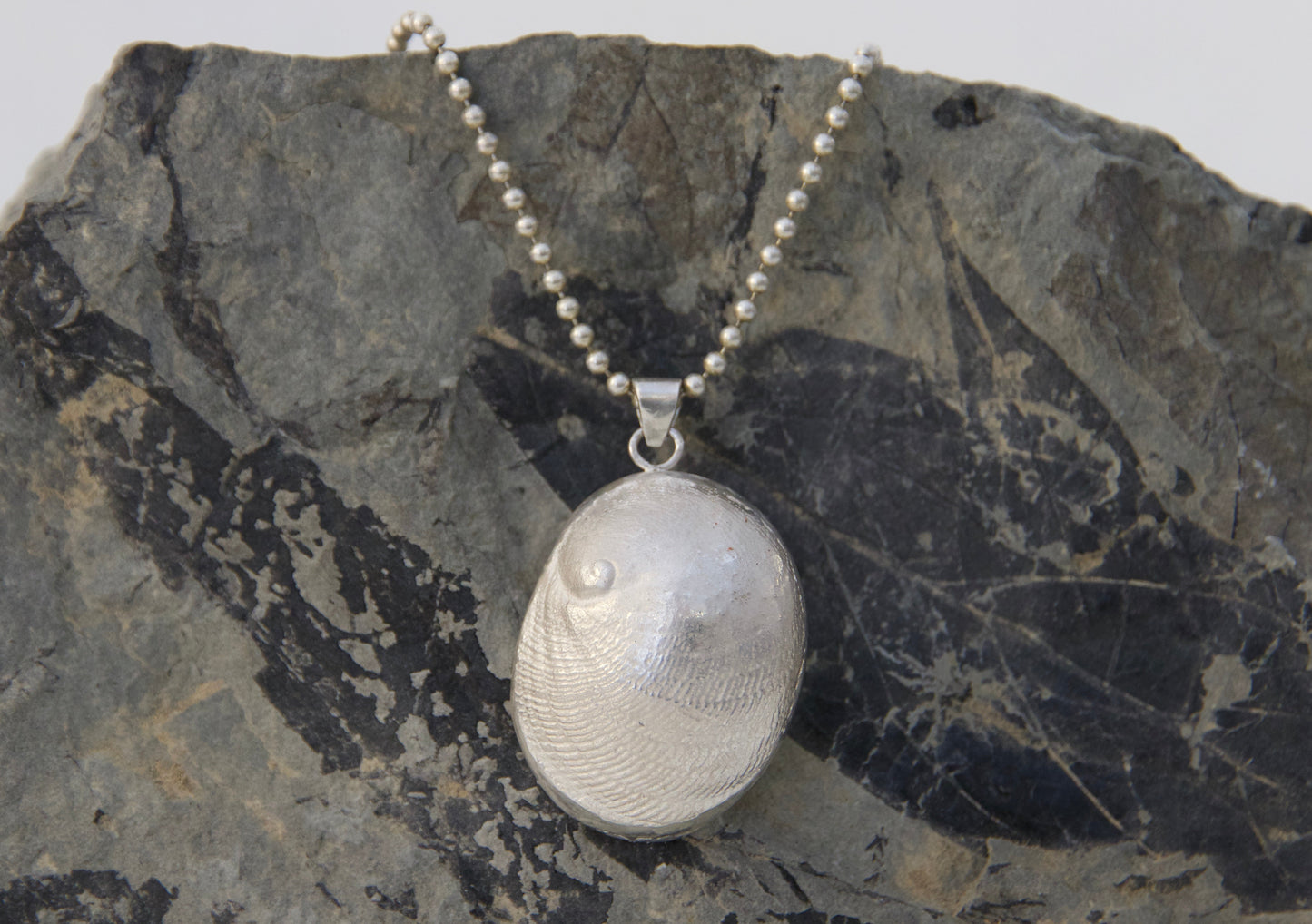Silver shell pendant necklace on a textured stone surface