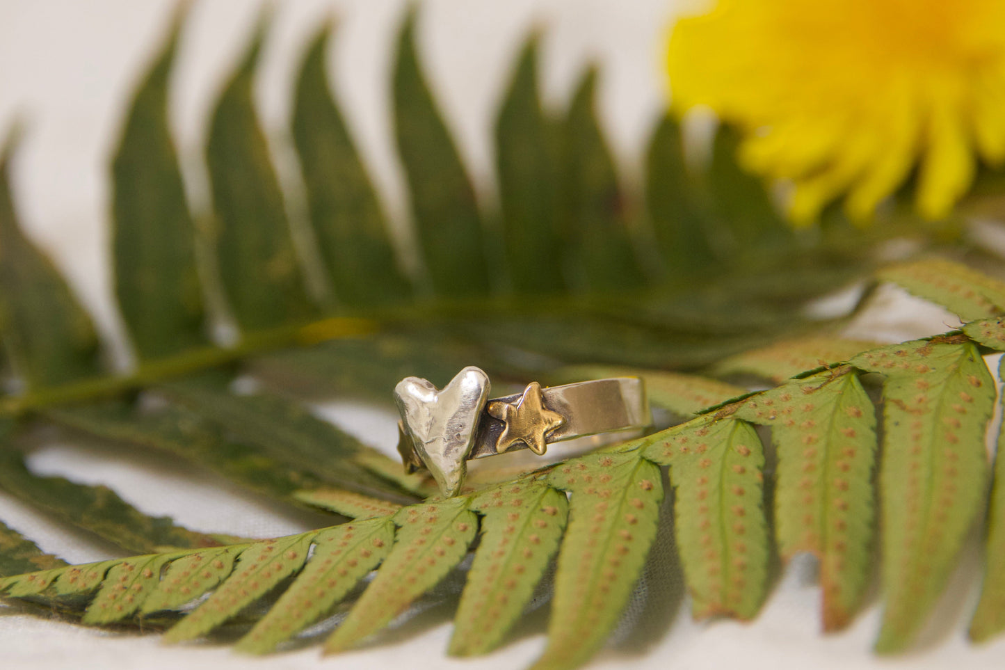 Brass star with hand fabricated sterling silver heart