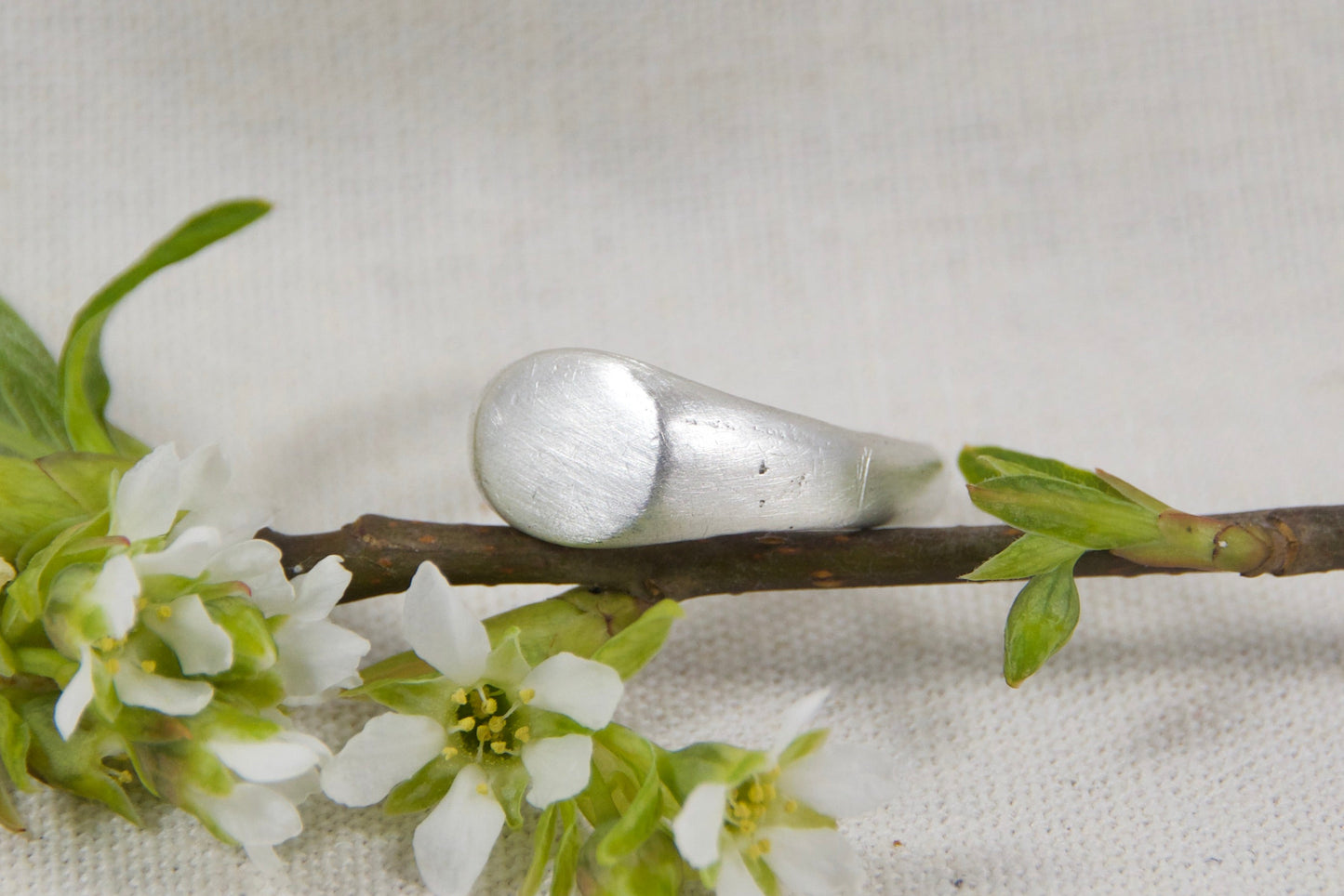 Sterling signet on branch