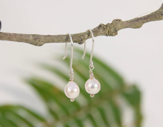 Pearl earrings hanging from a branch with a blurred natural background