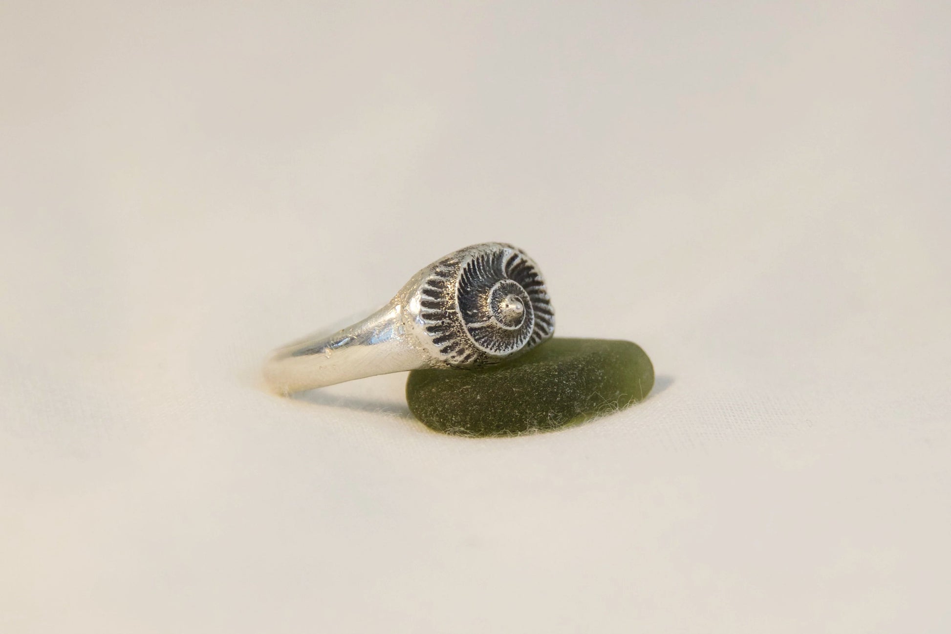 Ammonite ring profile