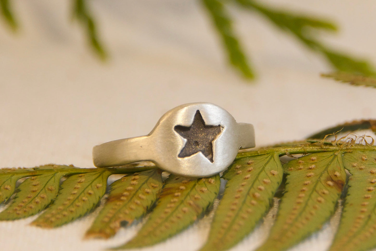 Silver ring with a star design on a green leaf