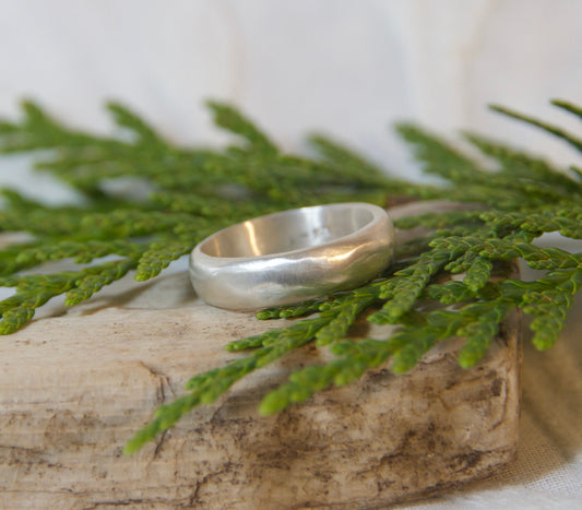 A minimalist silver band ring resting on a piece of natural driftwood, overlaid with green cedar branches, set against a soft white fabric background.