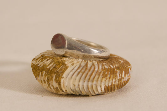 Silver ring with a stone on top, placed inside a shell on a beige background