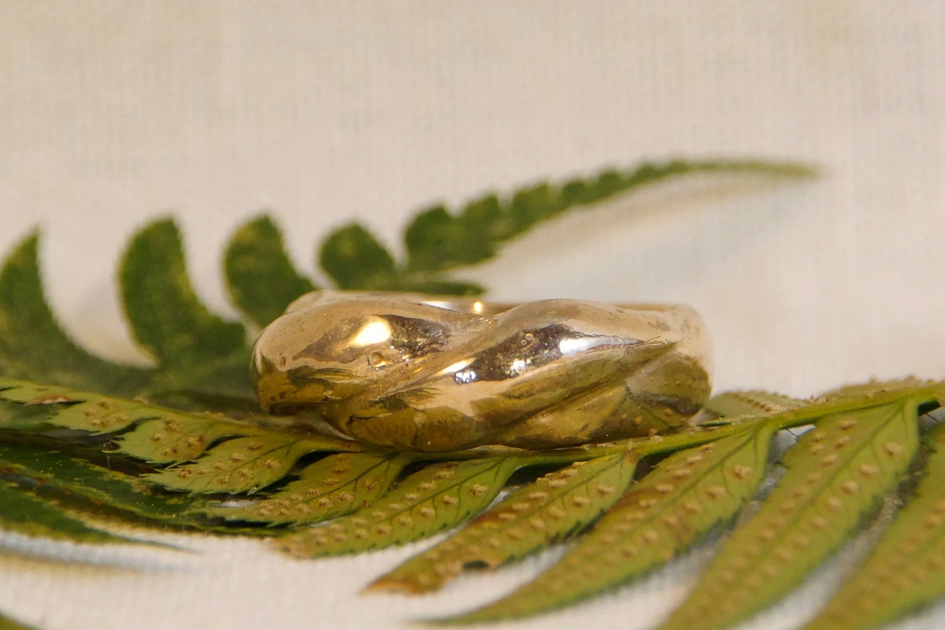bronze ring on a green fern leaf against a beige background