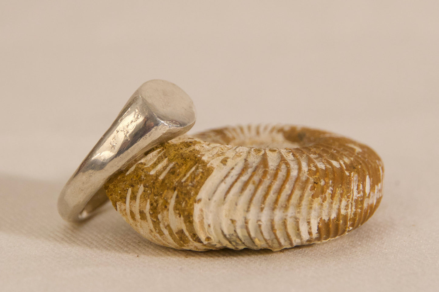 Silver ring with a textured band on a beige background 