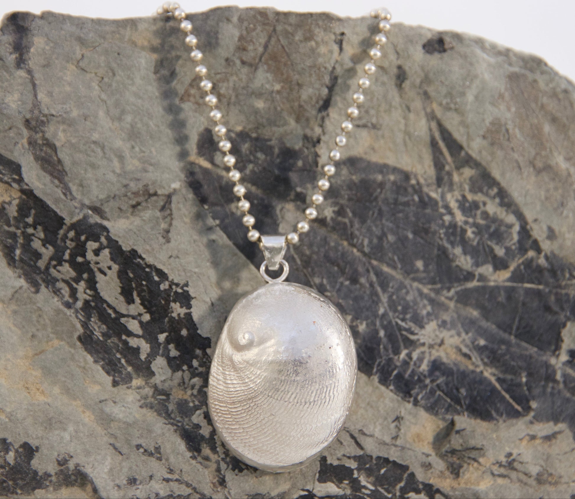 Silver pendant necklace on a rock with fossilized leaf impressions