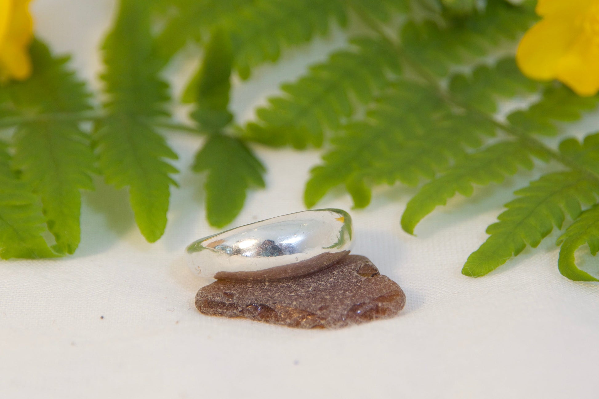 Silver ring on a white surface with green fern leaves and yellow flowers.
