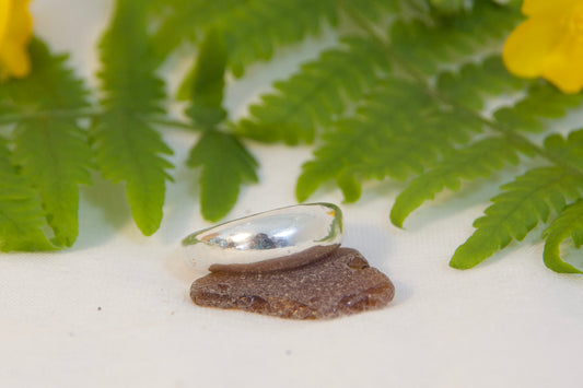 Silver ring on a white surface with green fern leaves and yellow flowers.