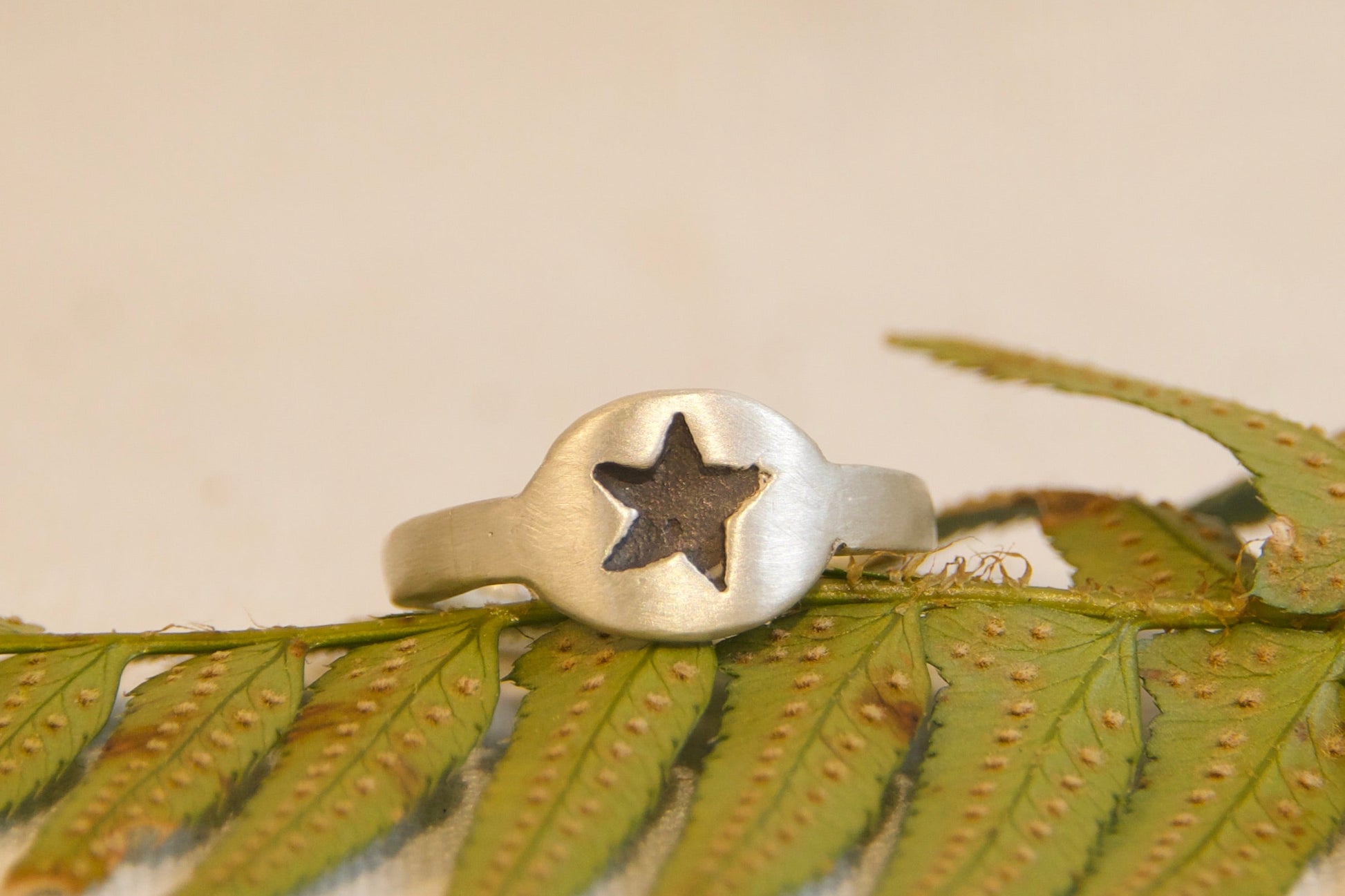 Silver ring with a star design on a green leaf branch against a beige background