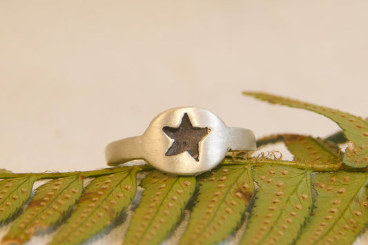 Silver ring with a star design on a green leaf branch against a beige background