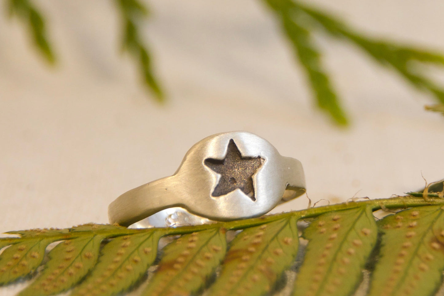 Silver ring with a star design on a green leafy branch against a beige background
