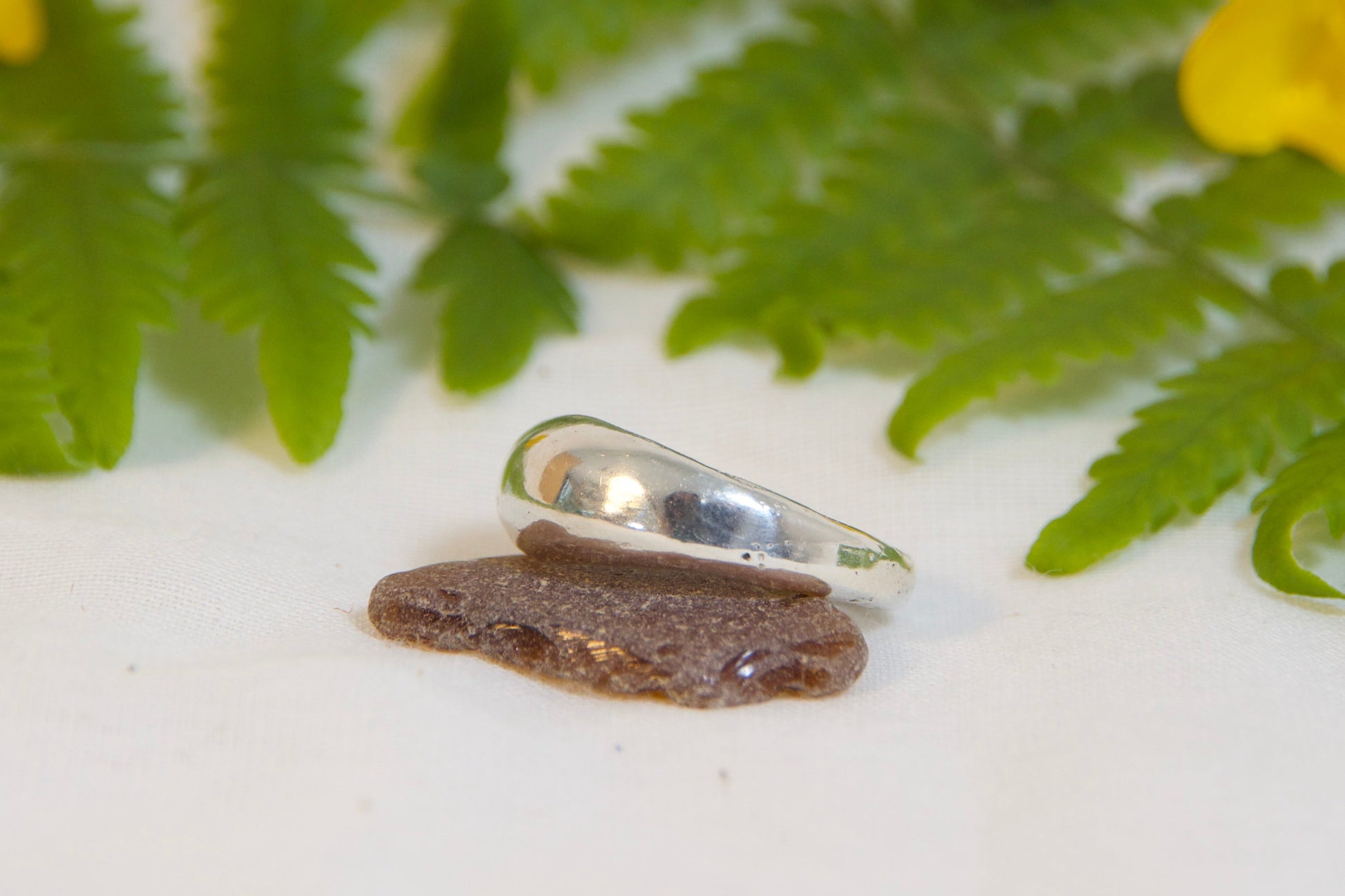 Silver ring on a white surface with green fern leaves and yellow flowers.